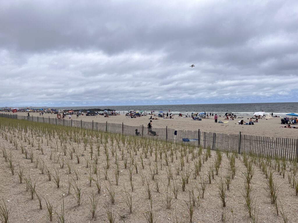 a beach with people and umbrellas (MyCoast AI)