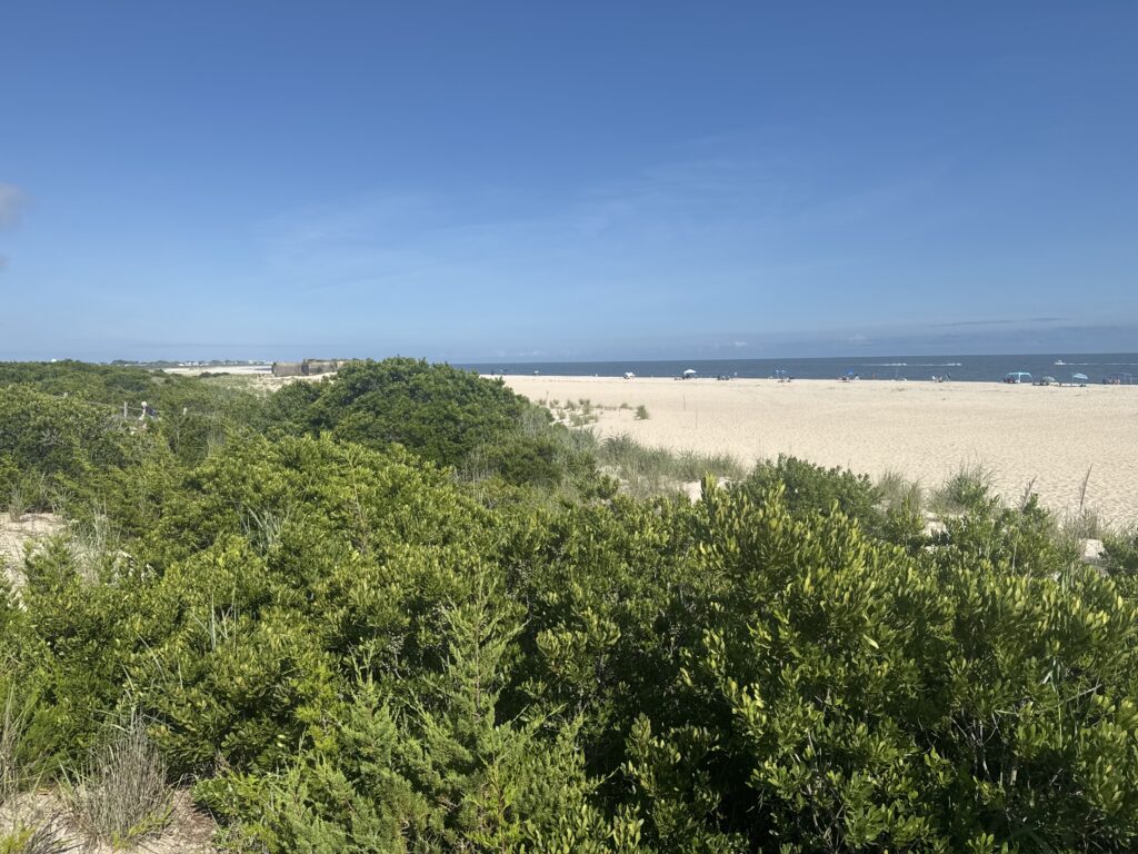 a landscape with trees and bushes (MyCoast AI)