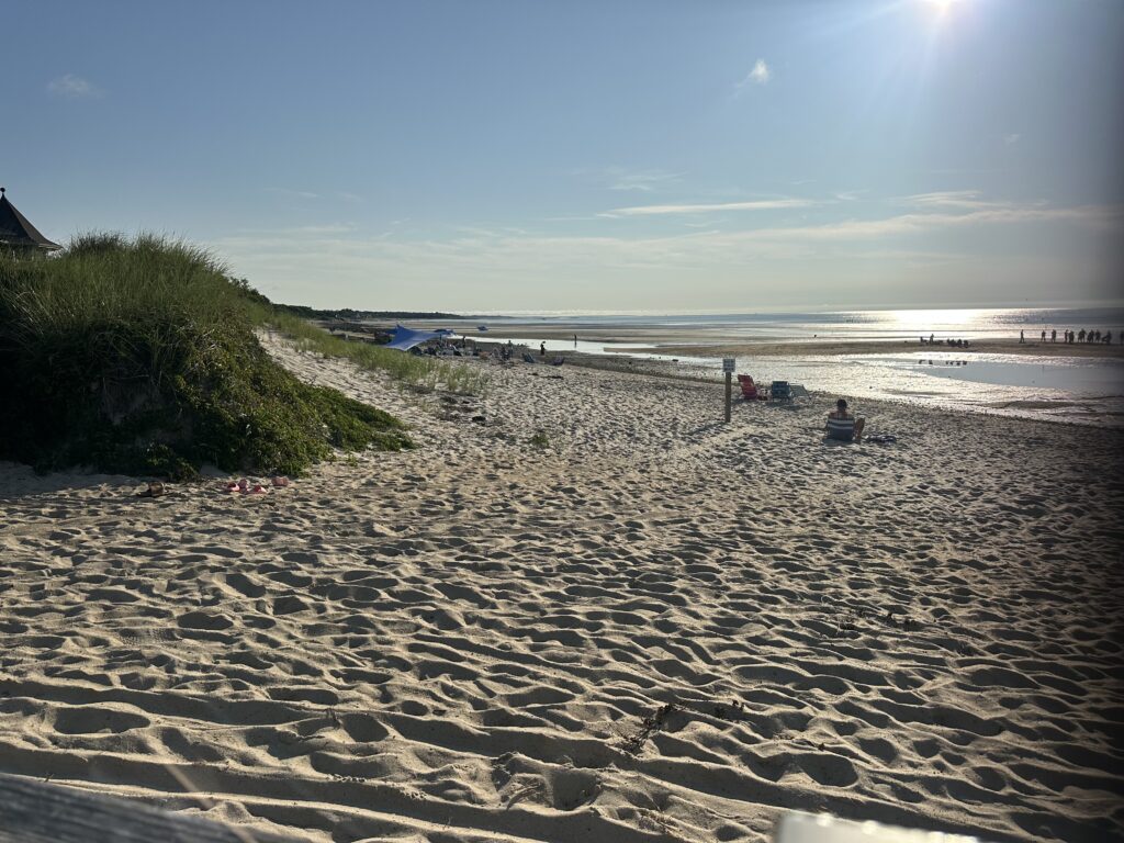 a sandy beach with bushes and a body of water in the background (MyCoast AI)