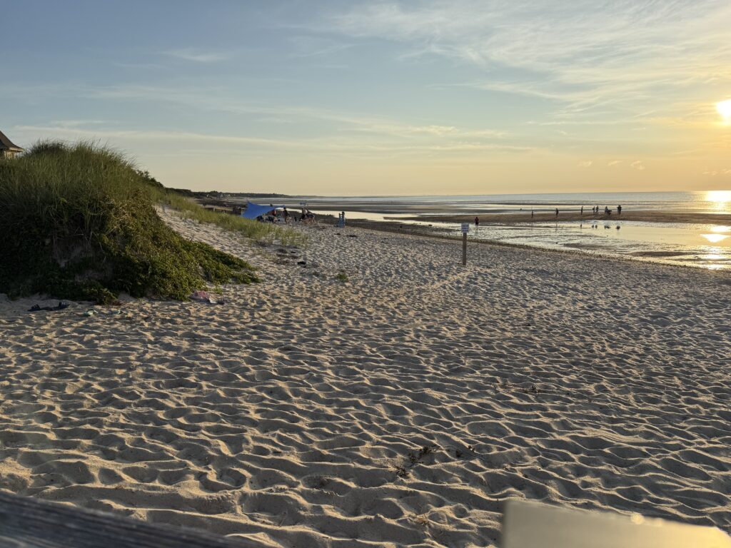 a sandy beach with a body of water in the background (MyCoast AI)