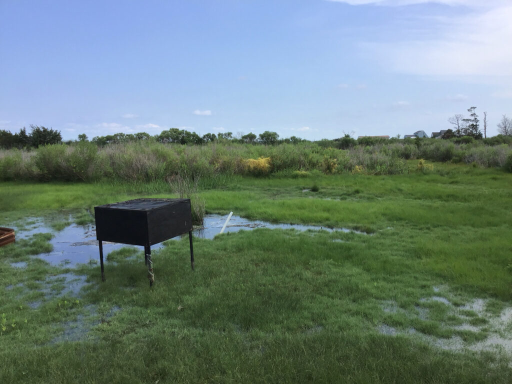 a bench in a field (MyCoast AI)