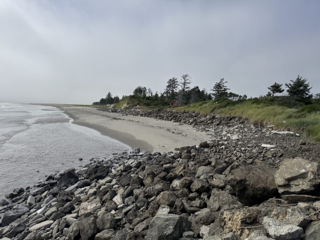 a rocky beach with trees and water (MyCoast AI)