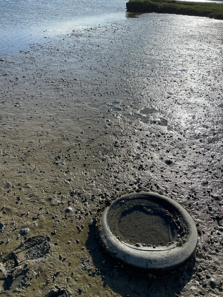 a tire in the dirt (MyCoast AI)