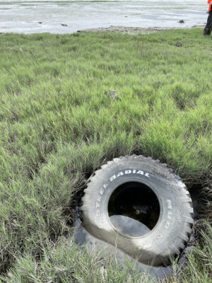 a tire in the grass (MyCoast AI)