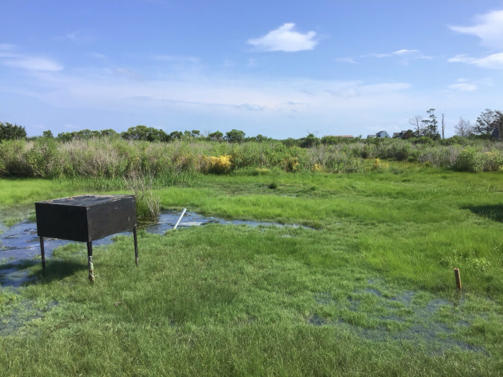 a bench in a grassy field (MyCoast AI)