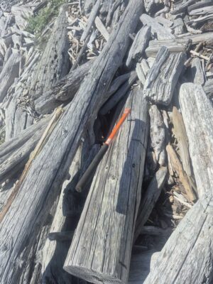 a close-up of a wooden fence (MyCoast AI)