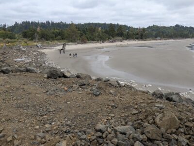 a group of people walking on a beach (MyCoast AI)