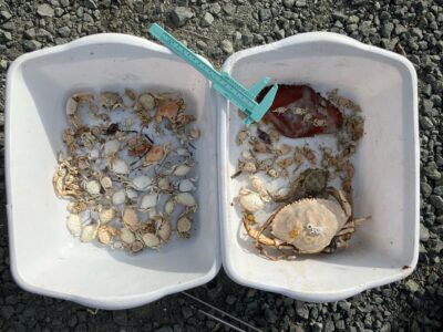 a container of food (MyCoast AI)
