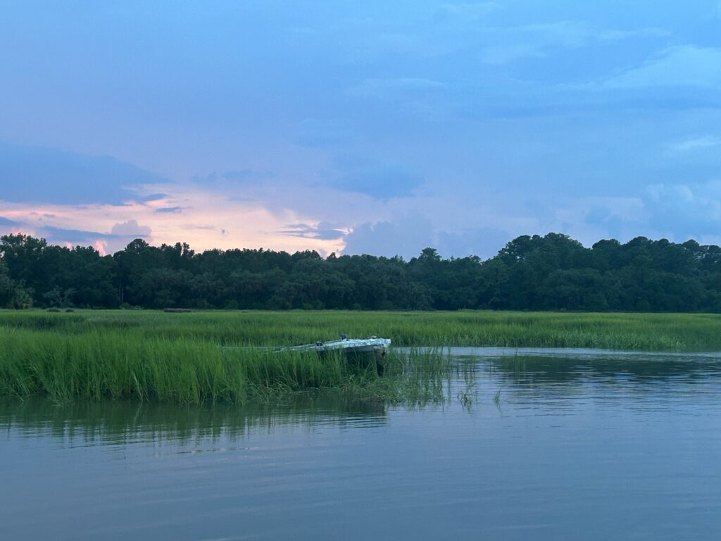 a body of water with grass and trees around it (MyCoast AI)