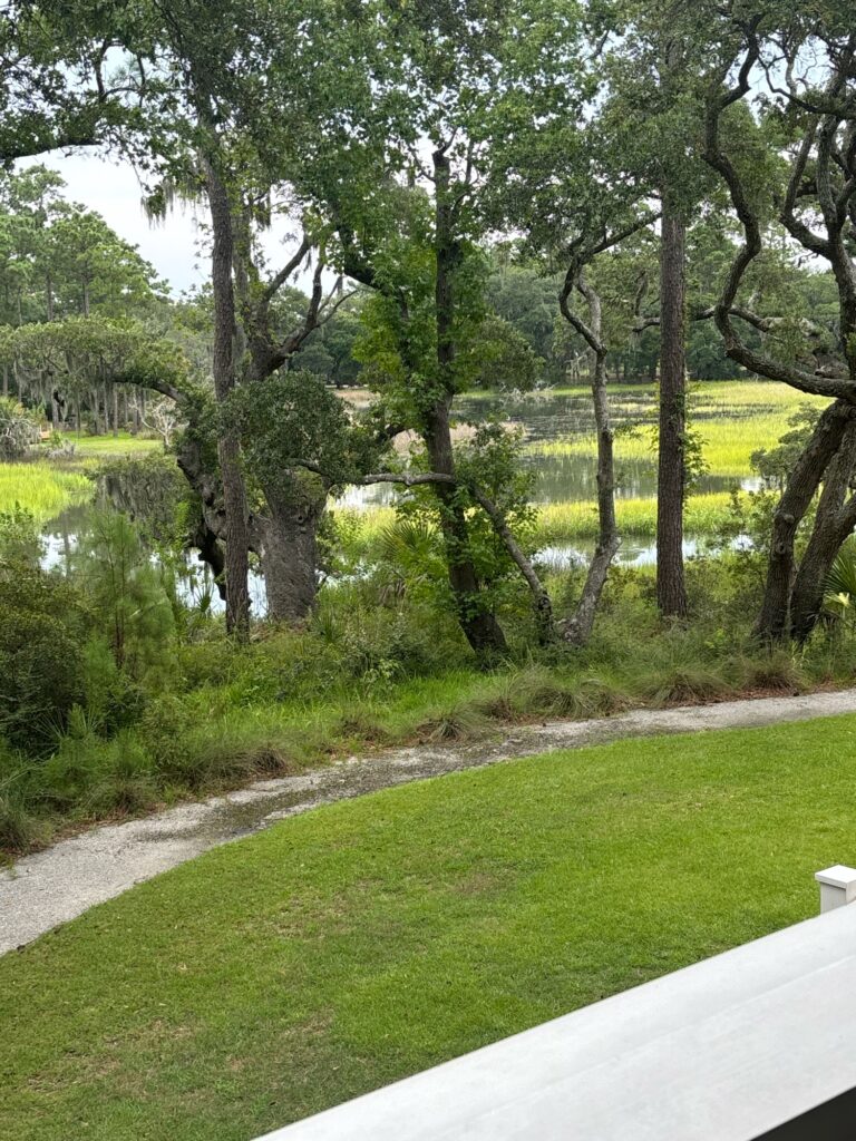 a path through a park (MyCoast AI)