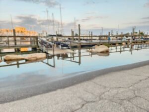 a body of water with a dock and boats in it (MyCoast AI)