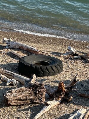 a tire on a beach (MyCoast AI)