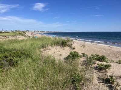 a beach with people walking on it (MyCoast AI)