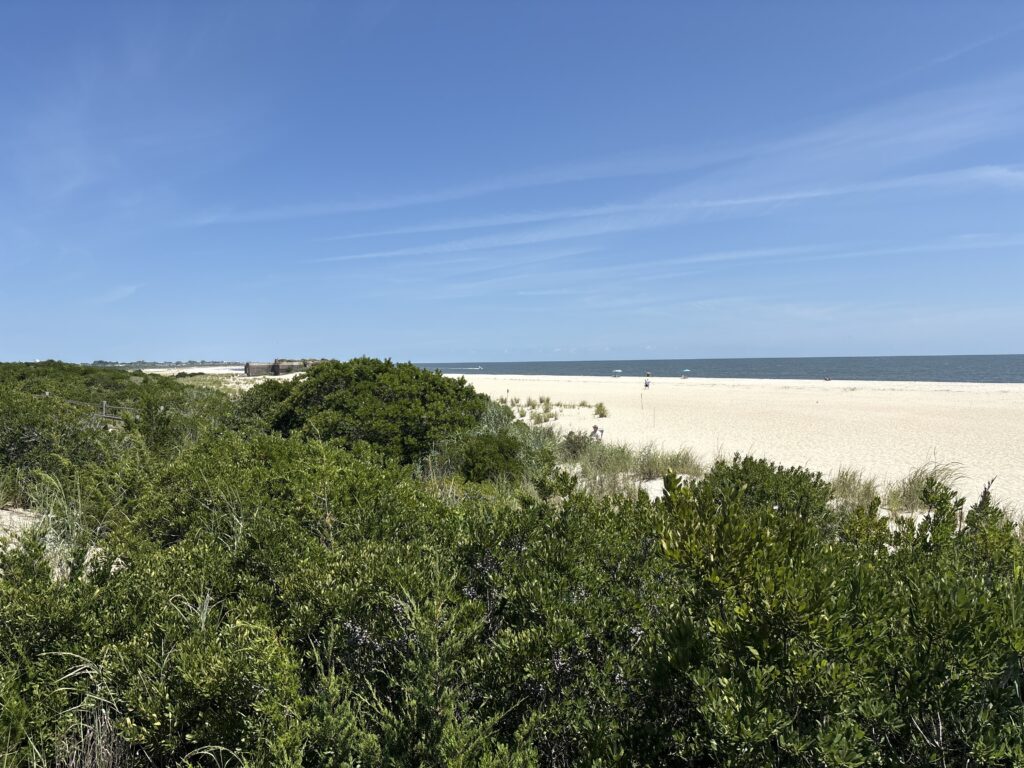a beach with trees and bushes (MyCoast AI)
