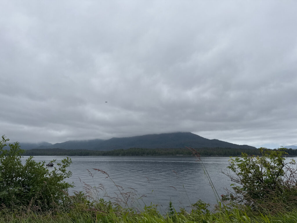 a body of water with plants and trees around it (MyCoast AI)