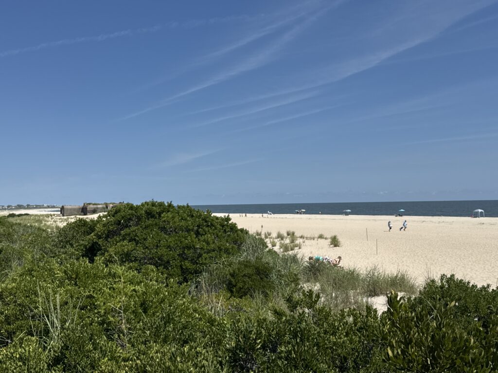 a beach with bushes and trees (MyCoast AI)