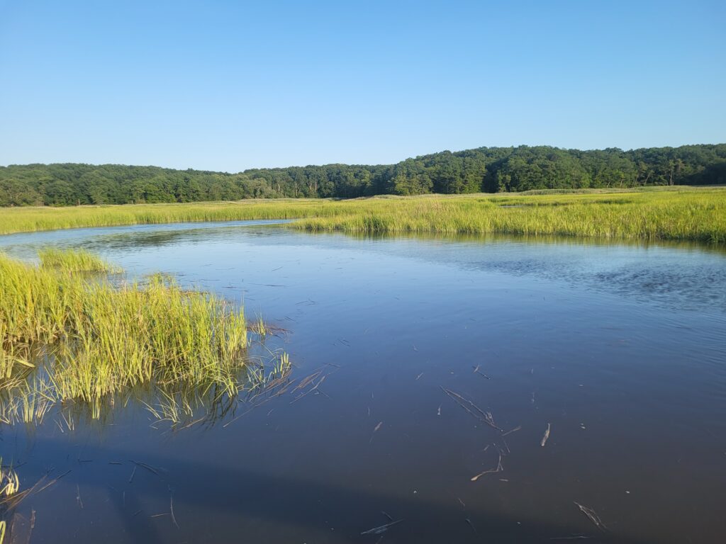 a body of water with grass and trees in the background (MyCoast AI)