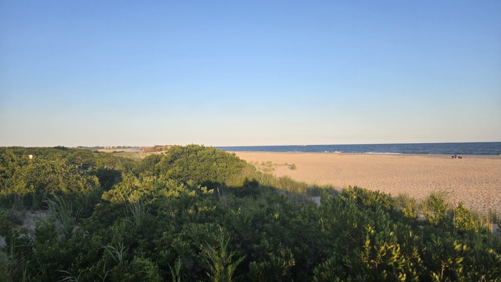 a field of plants with a body of water in the background (MyCoast AI)