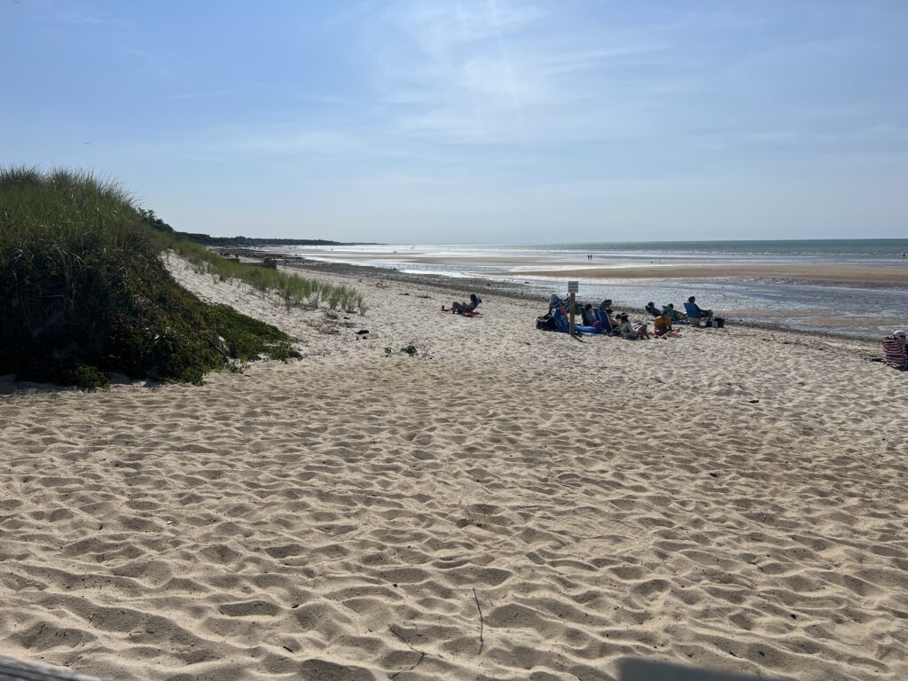 a beach with people on it (MyCoast AI)