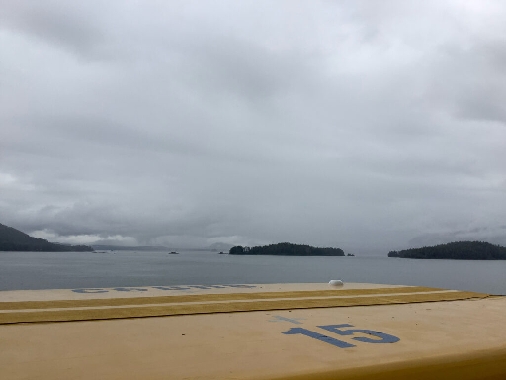 a road next to a body of water (MyCoast AI)