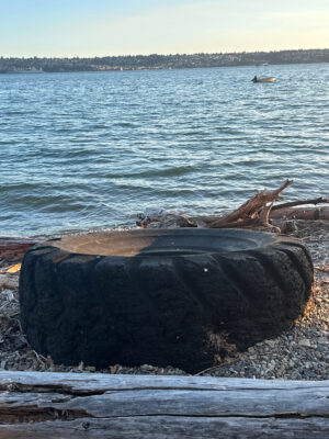 a large rock on a beach (MyCoast AI)