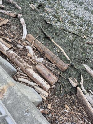 a pile of wood (MyCoast AI)