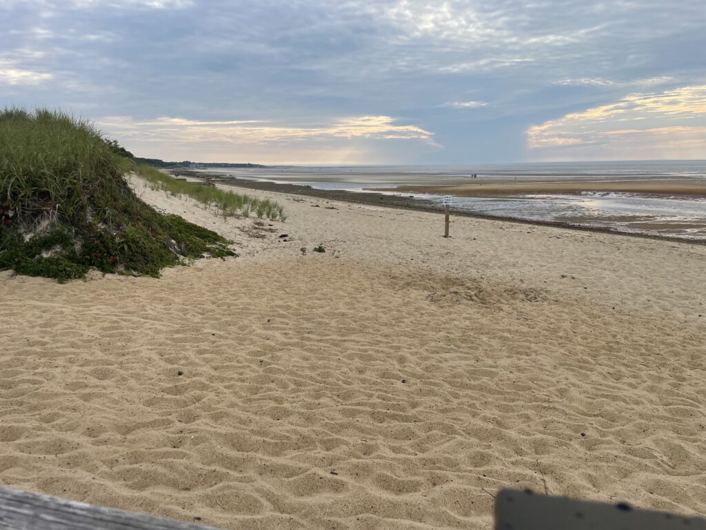 a sandy beach with bushes and a body of water in the background (MyCoast AI)