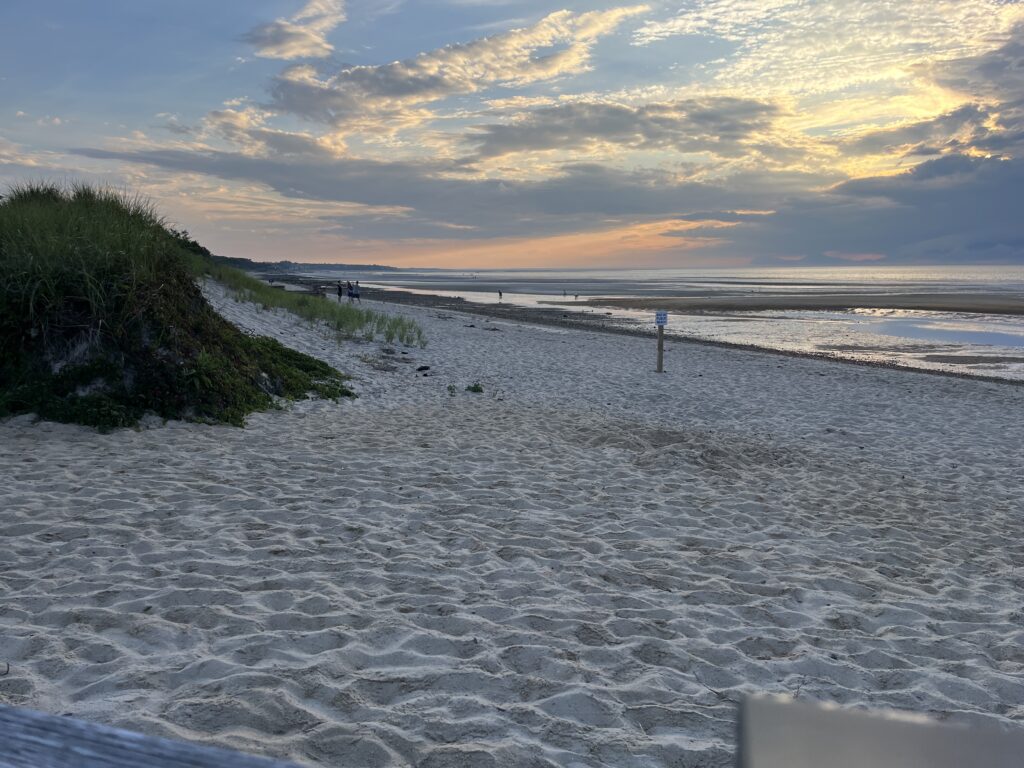 a beach with snow (MyCoast AI)