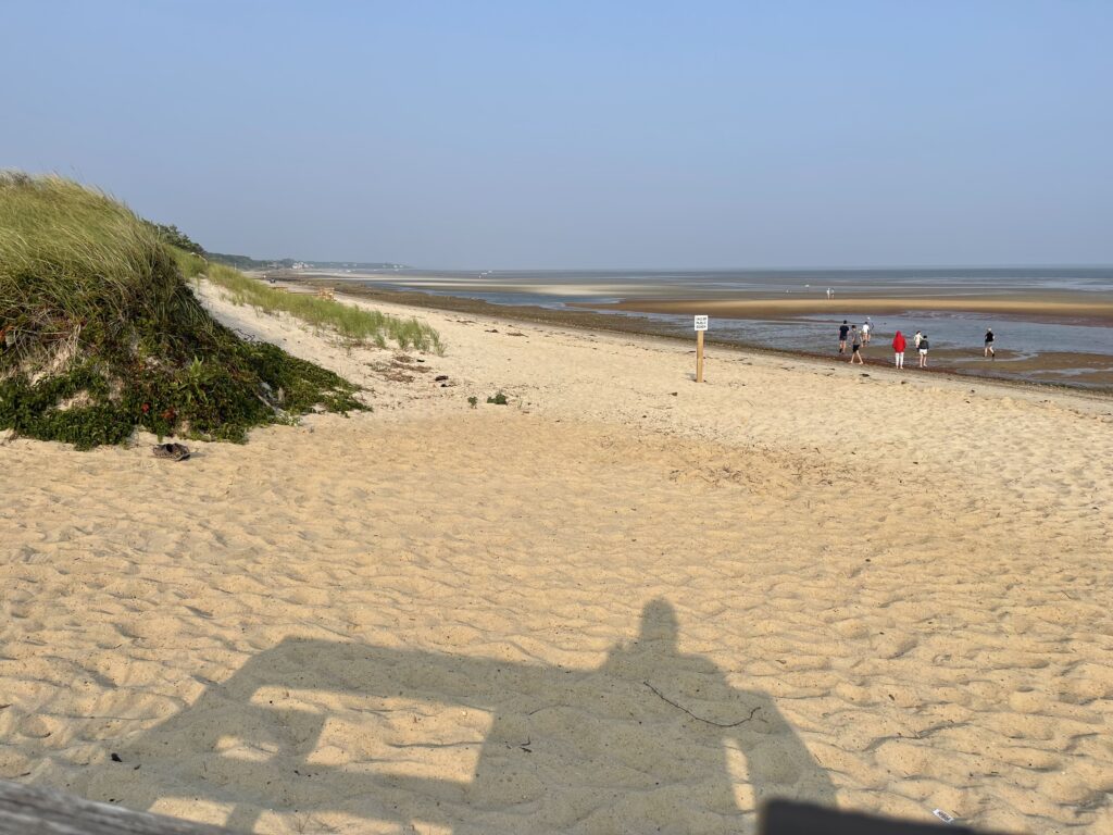 people walking on a beach (MyCoast AI)