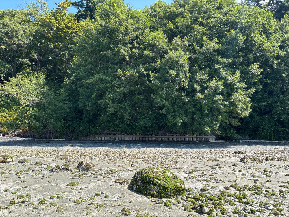 a bridge over a river (MyCoast AI)