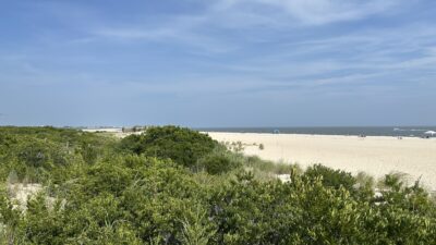 a beach with bushes and trees (MyCoast AI)