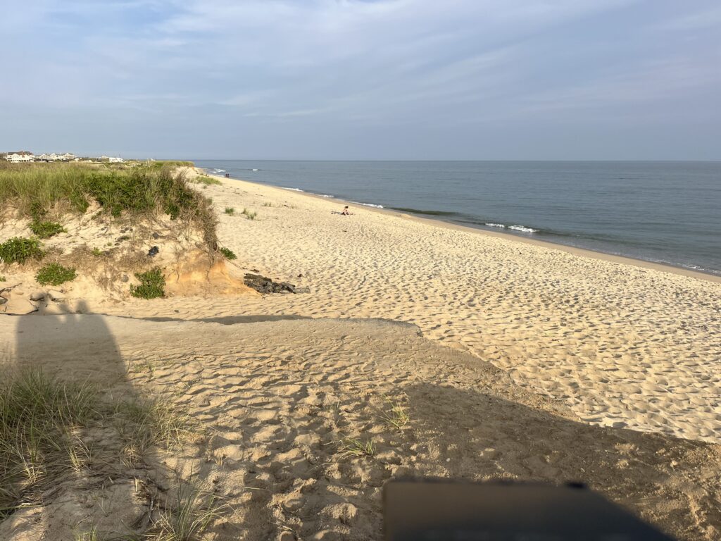 a sandy beach with a body of water in the background (MyCoast AI)
