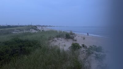 a person walking on a beach (MyCoast AI)