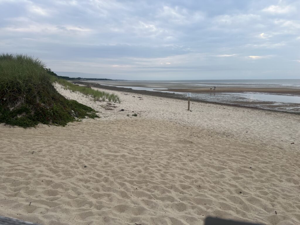 a sandy beach with a few people (MyCoast AI)