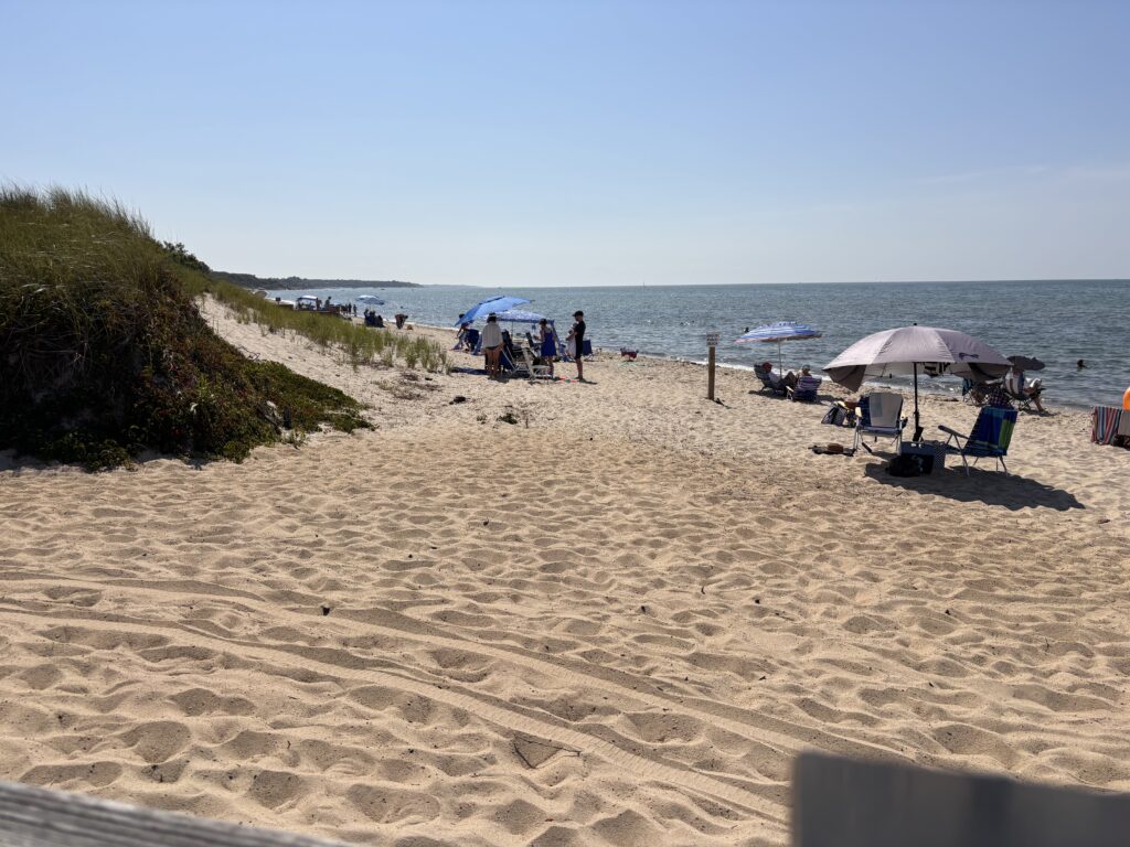 people on a beach (MyCoast AI)