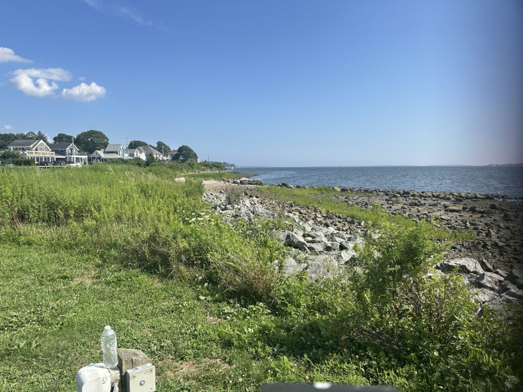 a grassy area next to a body of water (MyCoast AI)