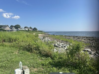 a grassy area next to a body of water (MyCoast AI)