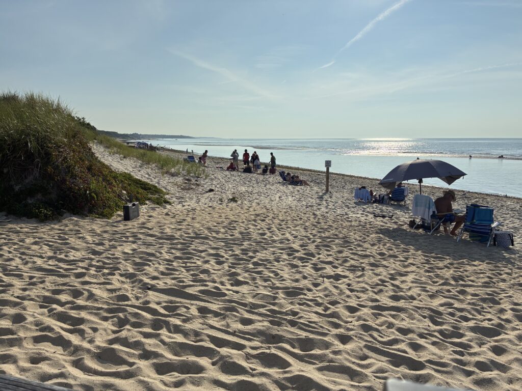 people on a beach (MyCoast AI)