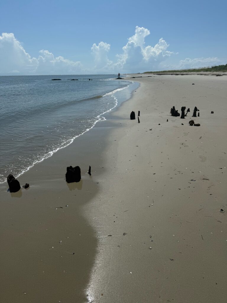 a group of people on a beach (MyCoast AI)