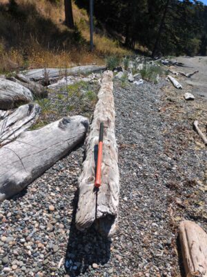 a wood pole with a stick stuck in it (MyCoast AI)