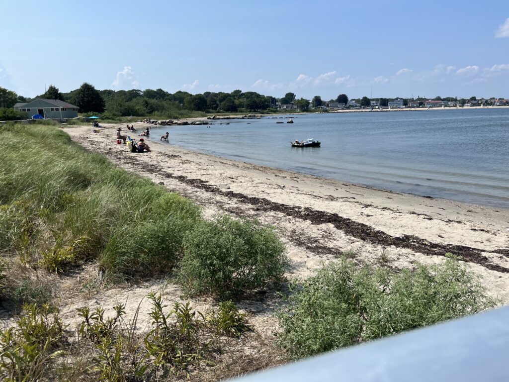 a beach with a body of water and boats on it (MyCoast AI)