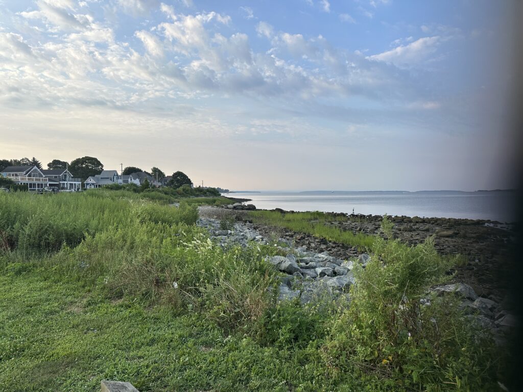 a grassy area next to a body of water (MyCoast AI)
