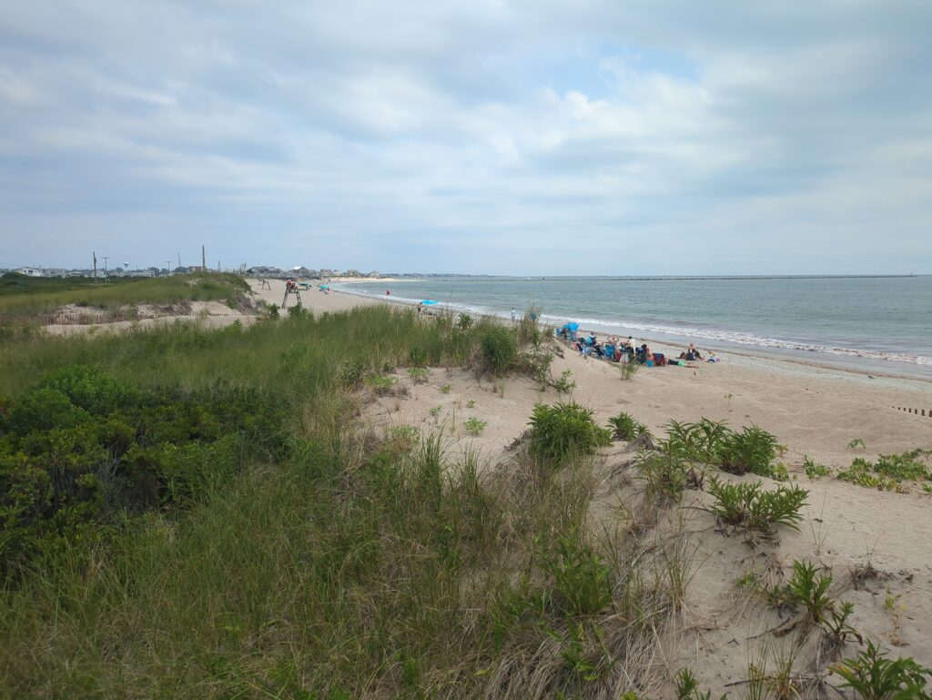 a beach with people on it (MyCoast AI)