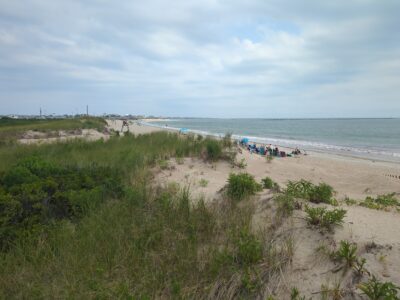 a beach with people on it (MyCoast AI)