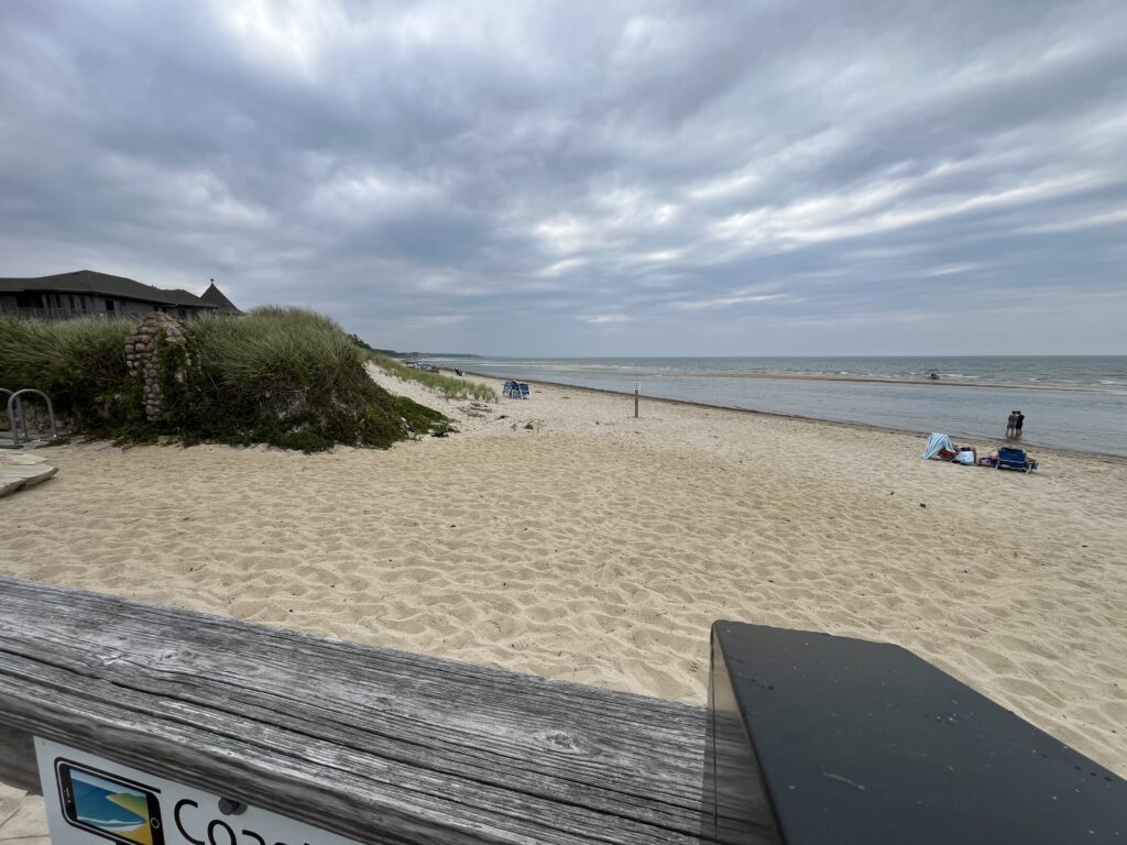 a beach with a body of water and a building (MyCoast AI)