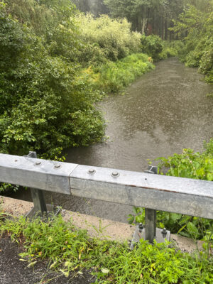 a bench overlooking a river (MyCoast AI)