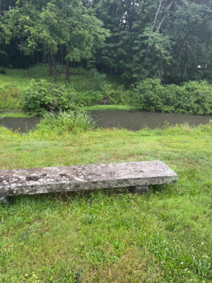 a wooden bench in a park (MyCoast AI)