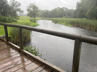 a wooden bridge over a river (MyCoast AI)