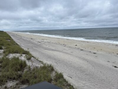 a beach with sand and grass (MyCoast AI)