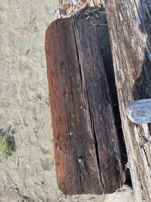 a wooden door in a wall (MyCoast AI)